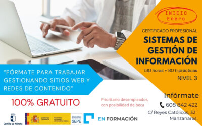 SISTEMAS DE GESTIÓN DE INFORMACIÓN